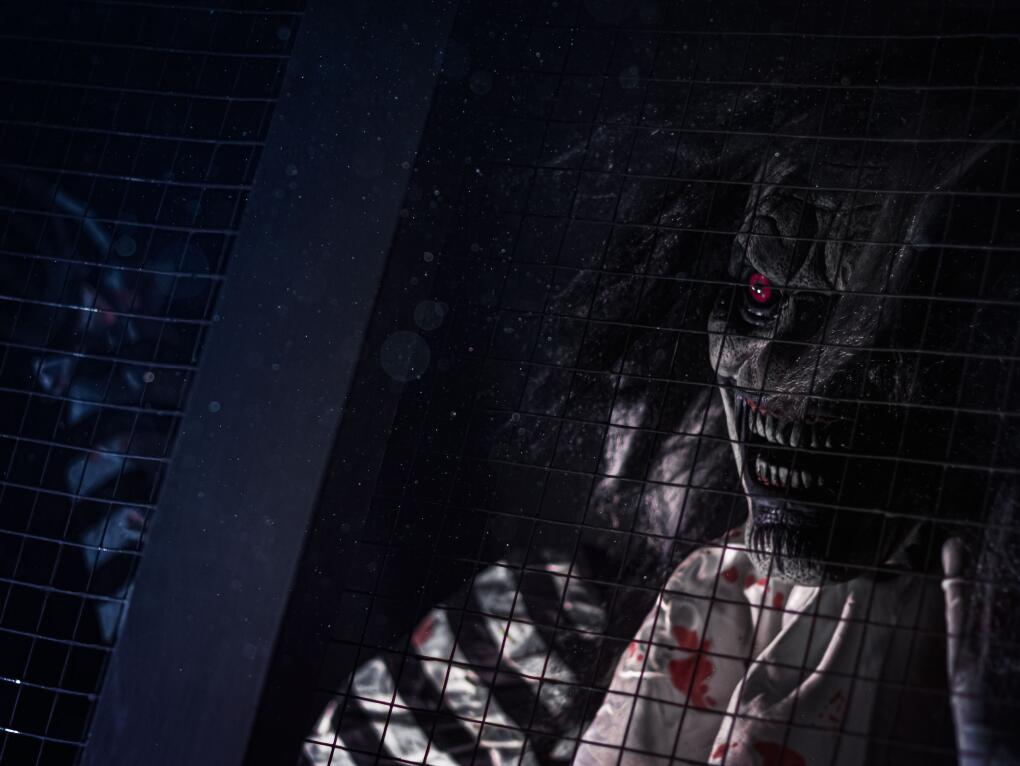 Ужасающий цирк (Horror 11+)