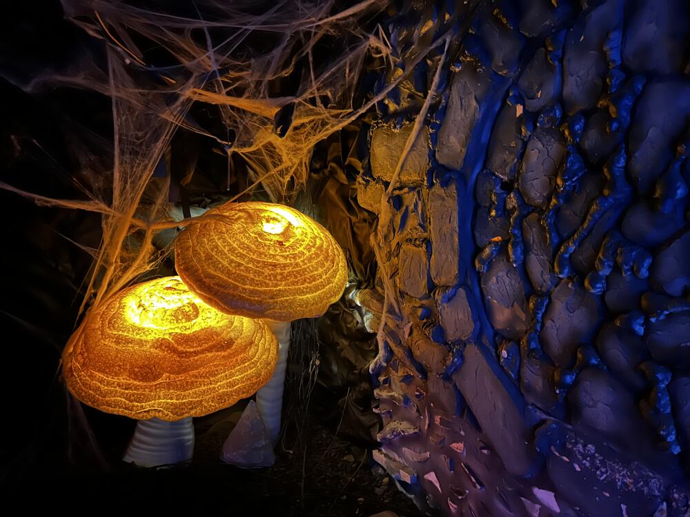 Пропавшие в лесу, фото - 2